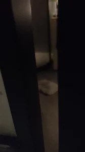 洗澡等待