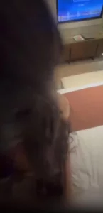 狗链调教母畜
