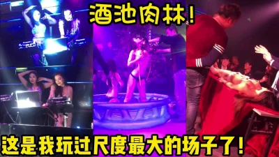 【完整版46分钟已上传下面简阶】
